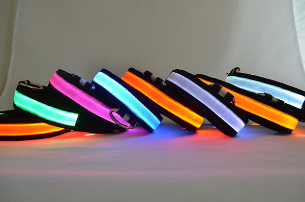 Bark & Glow LED Light Up Dog Collar