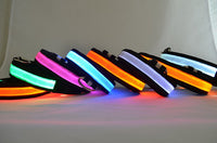 Bark & Glow LED Light Up Dog Collar