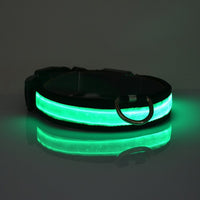Bark & Glow LED Light Up Dog Collar