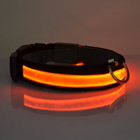 Bark & Glow LED Light Up Dog Collar