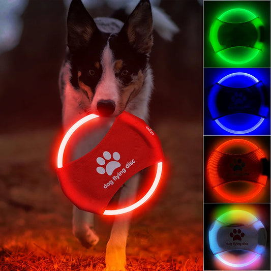 Bark & Glow Flying Discs Light Glowing LED